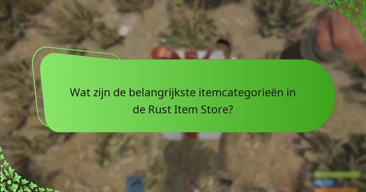 Welke betalingsmogelijkheden zijn er in de Rust Item Store?